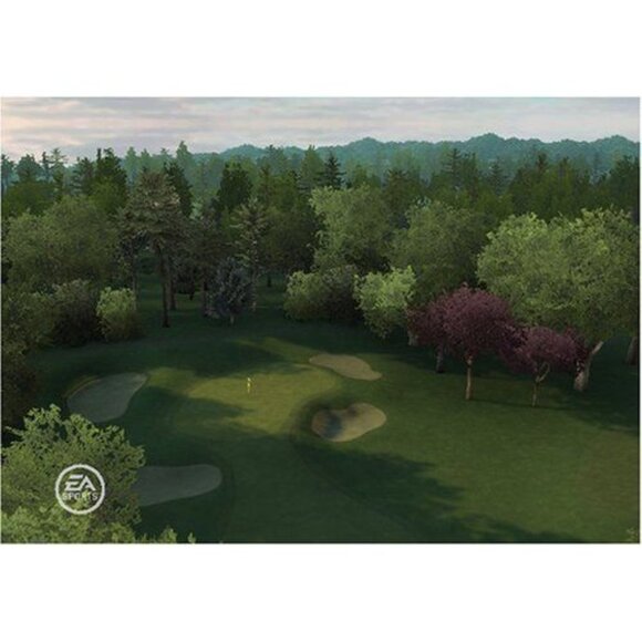 Tiger Woods PGA Tour 09 All-Play Nintendo Wii Game Complete Case Manual Tested - Picture 6 of 8